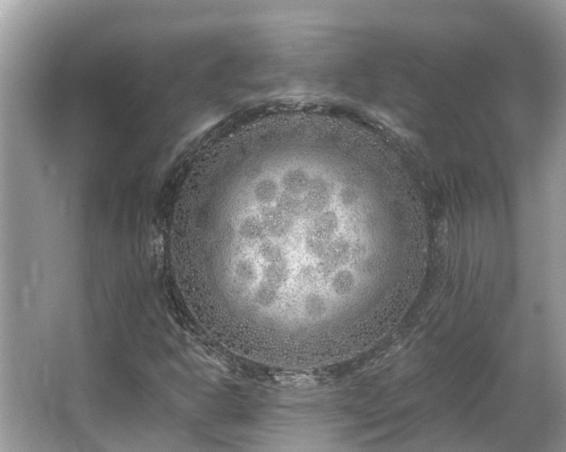 X0000063451302200601231341