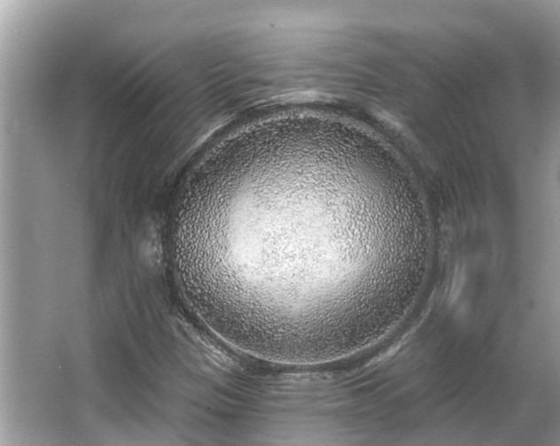 X0000063451305200601231341