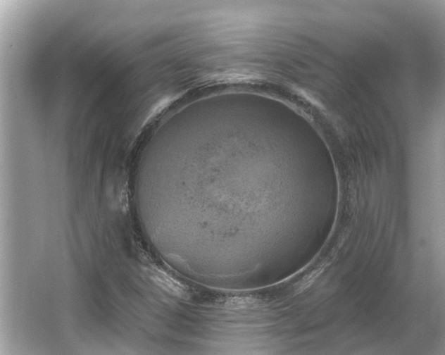 X0000063451306200601231341