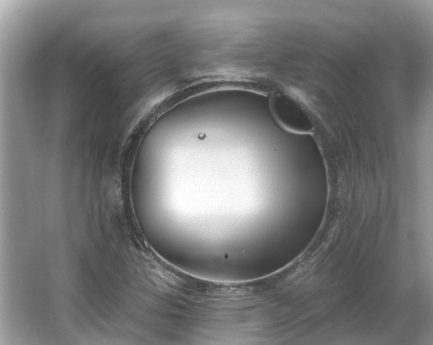 X0000063451307200601231341