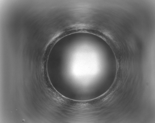 X0000063451309200601231341