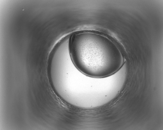 X0000063451312200601231341