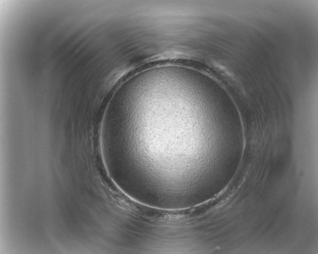 X0000063451313200601231341