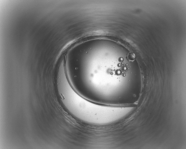 X0000063451314200601231341