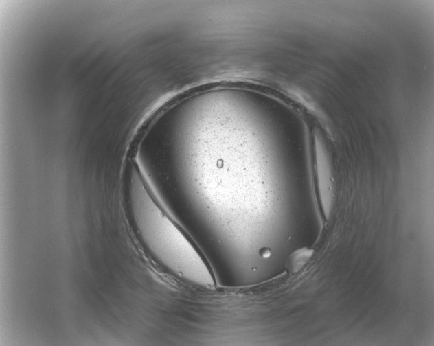 X0000063451316200601231341