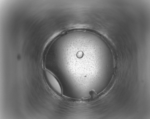 X0000063451317200601231341