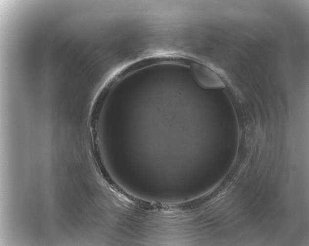 X0000063451319200601231342