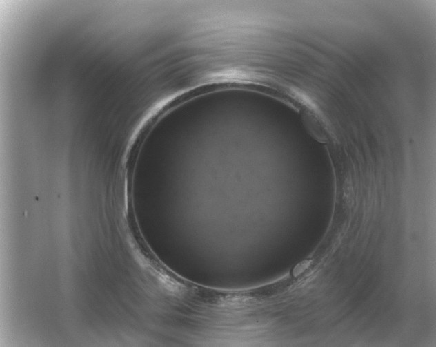 X0000063451323200601231342