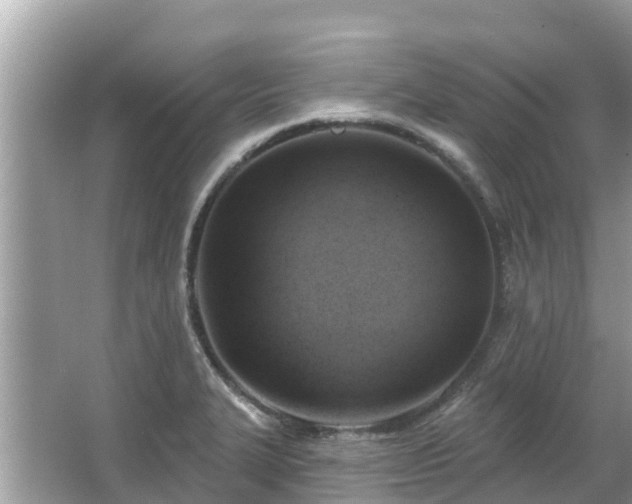 X0000063451327200601231342