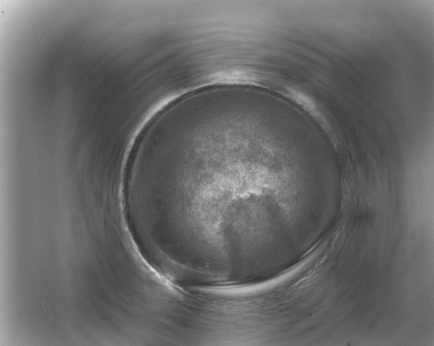 X0000063451331200601231342