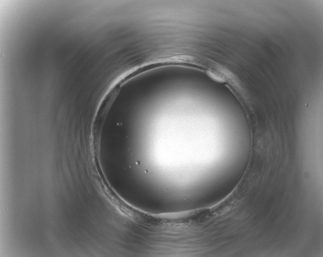 X0000063451332200601231342