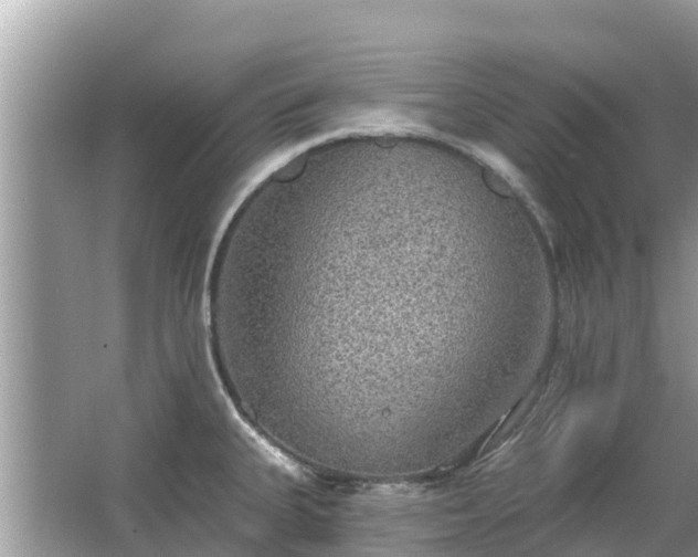 X0000063451335200601231342