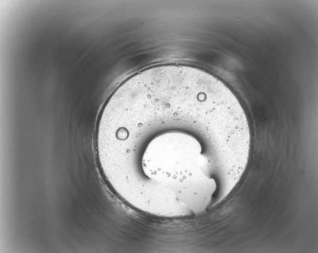 X0000063451338200601231342