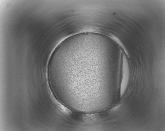 X0000063451339200601231342