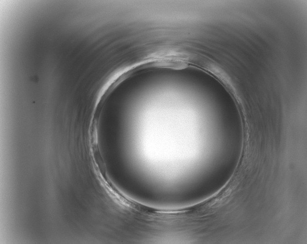 X0000063451344200601231342