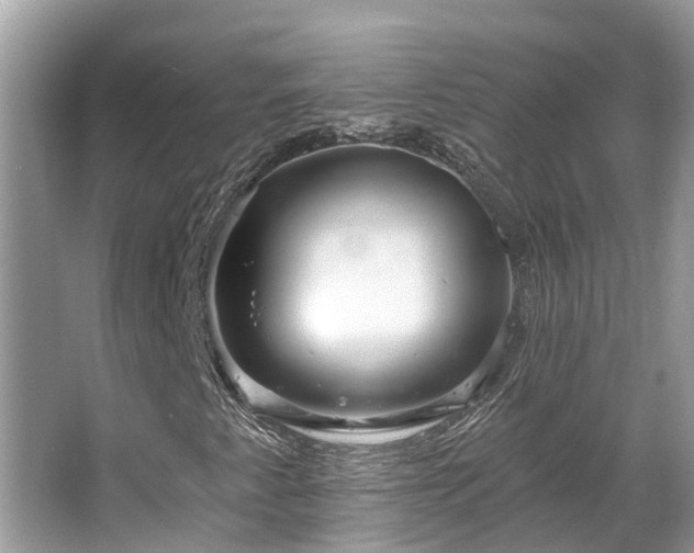 X0000063451345200601231341