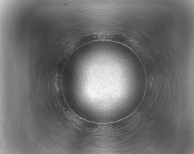 X0000063451346200601231341