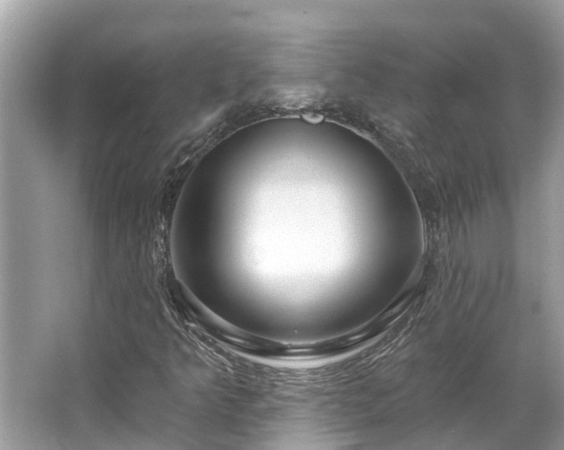 X0000063451349200601231341