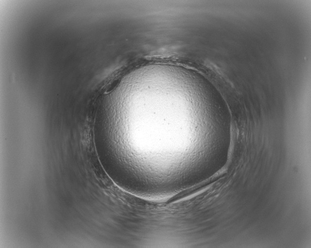 X0000063451350200601231341