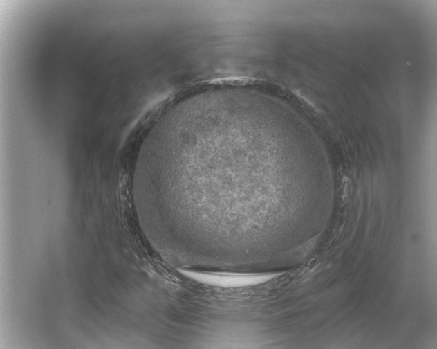 X0000063451351200601231341