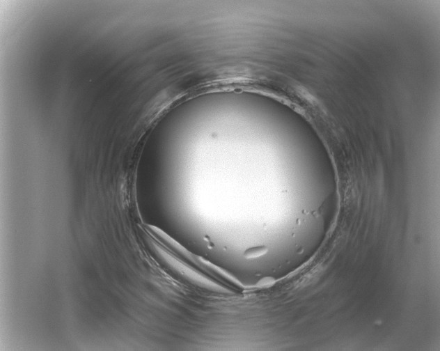 X0000063451353200601231341