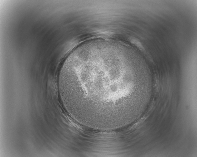 X0000063451354200601231341