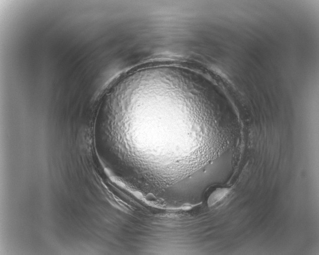 X0000063451355200601231341