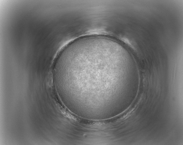 X0000063451358200601231341