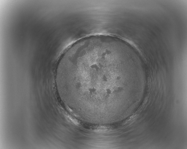 X0000063451359200601231341