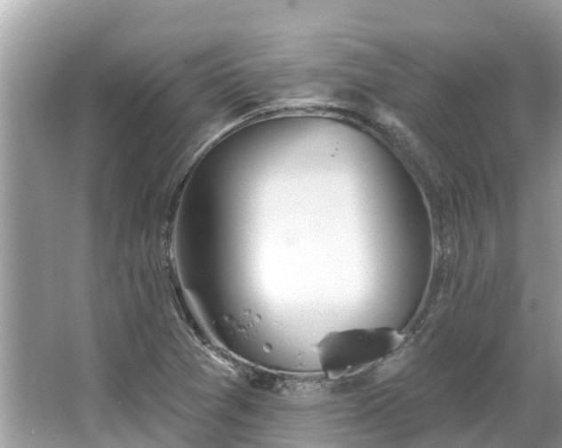 X0000063451361200601231341