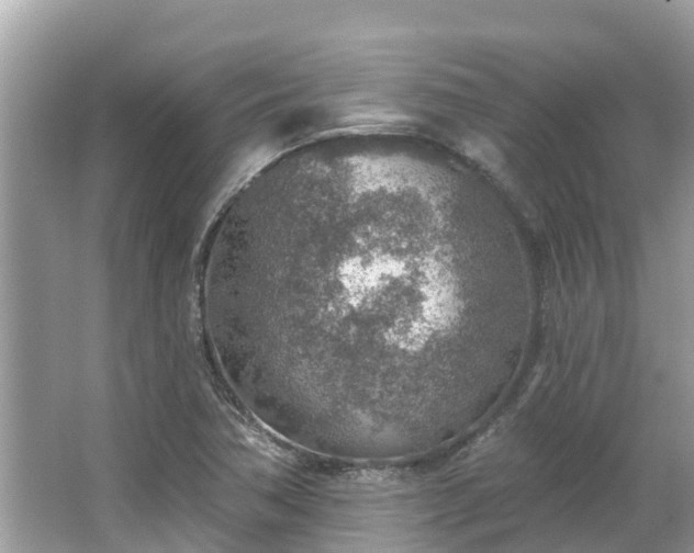 X0000063451362200601231341