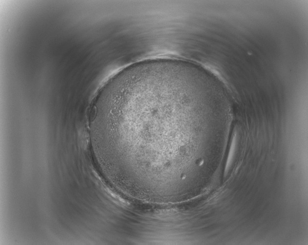 X0000063451363200601231341