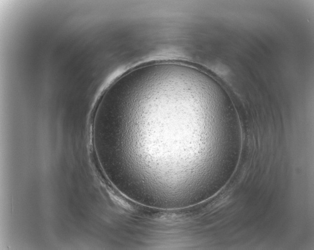 X0000063451366200601231341