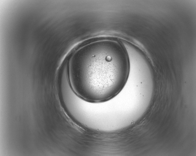 X0000063451368200601231341