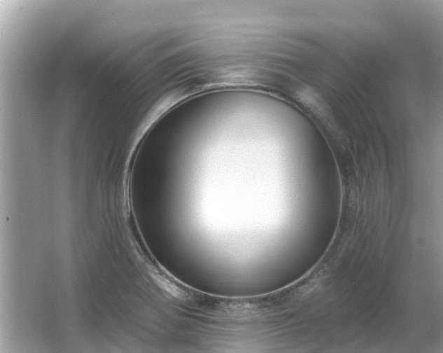 X0000063451370200601231341