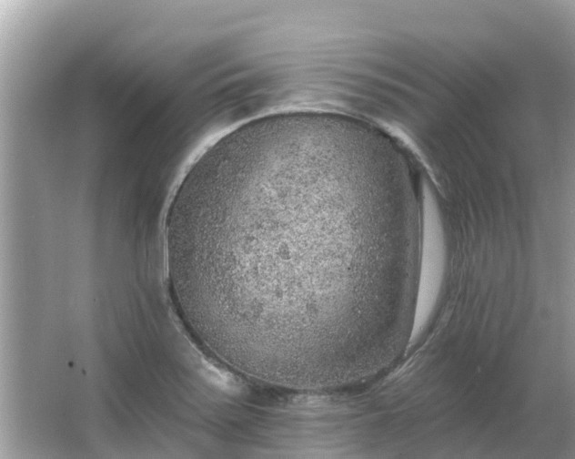 X0000063451371200601231341