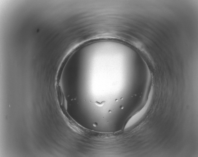 X0000063451372200601231341