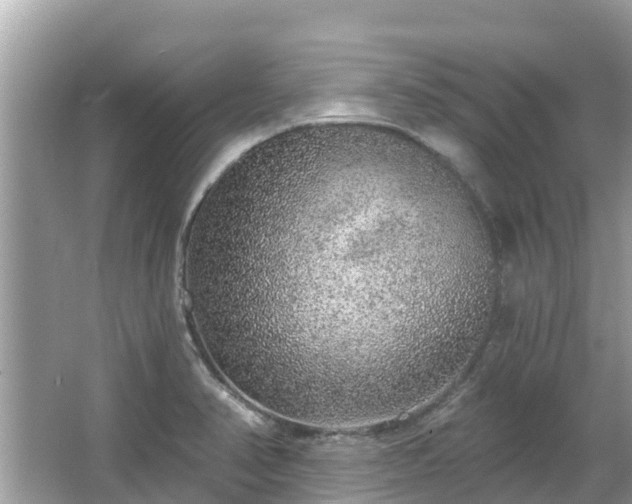 X0000063451374200601231341