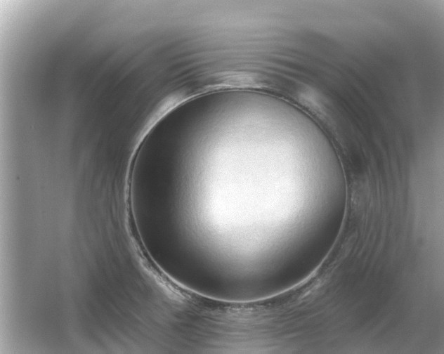 X0000063451378200601231341