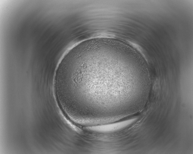 X0000063451379200601231341