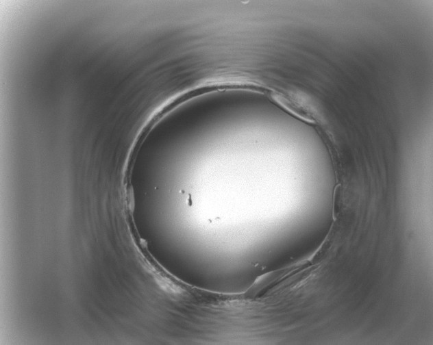 X0000063451380200601231341