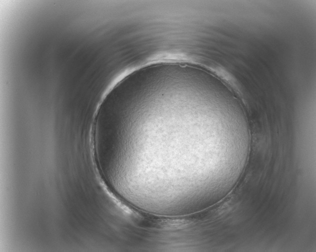 X0000063451382200601231340