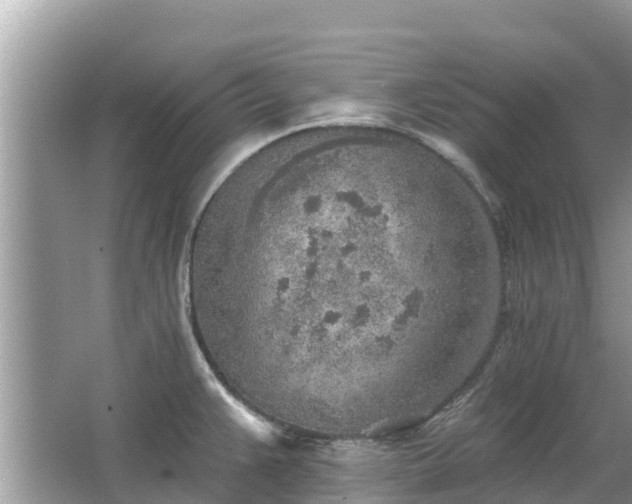 X0000063451383200601231340