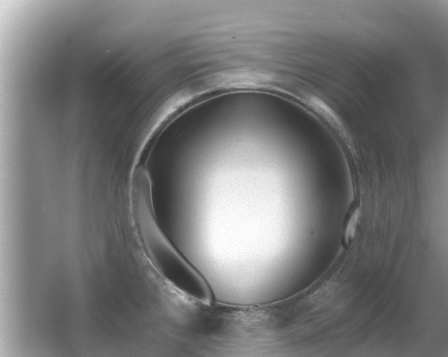 X0000063451384200601231340