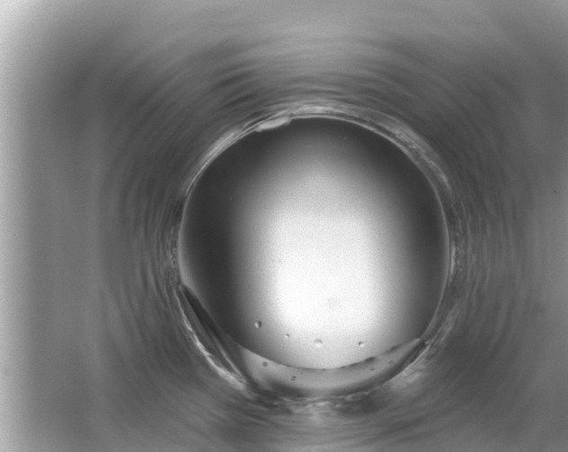 X0000063451385200601231340