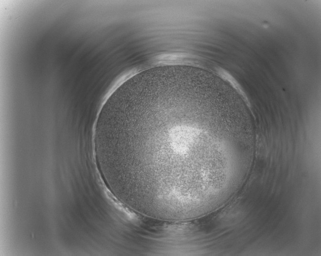 X0000063451386200601231340