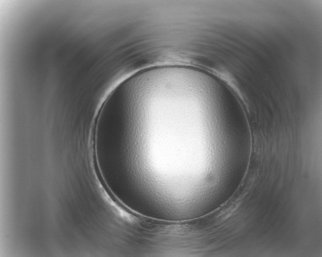 X0000063451387200601231340