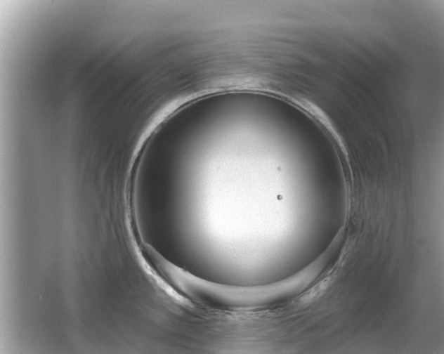 X0000063451389200601231340