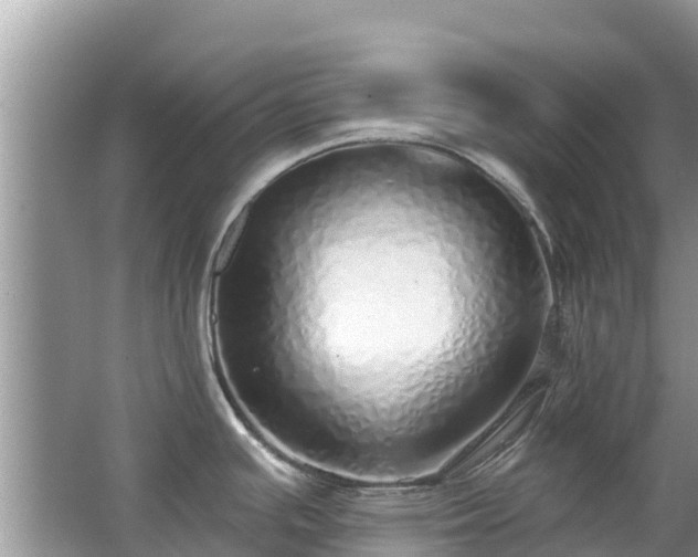 X0000063451391200601231340