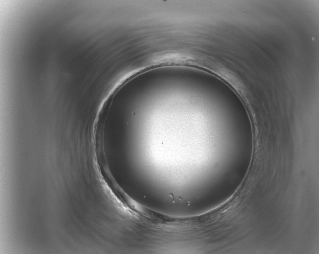 X0000063451392200601231340